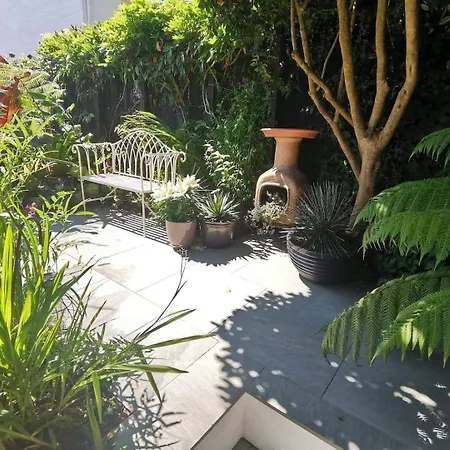 Oasis With Sub-tropical Garden & Parking Falmouth