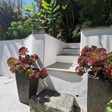 Oasis With Sub-tropical Garden & Parking *